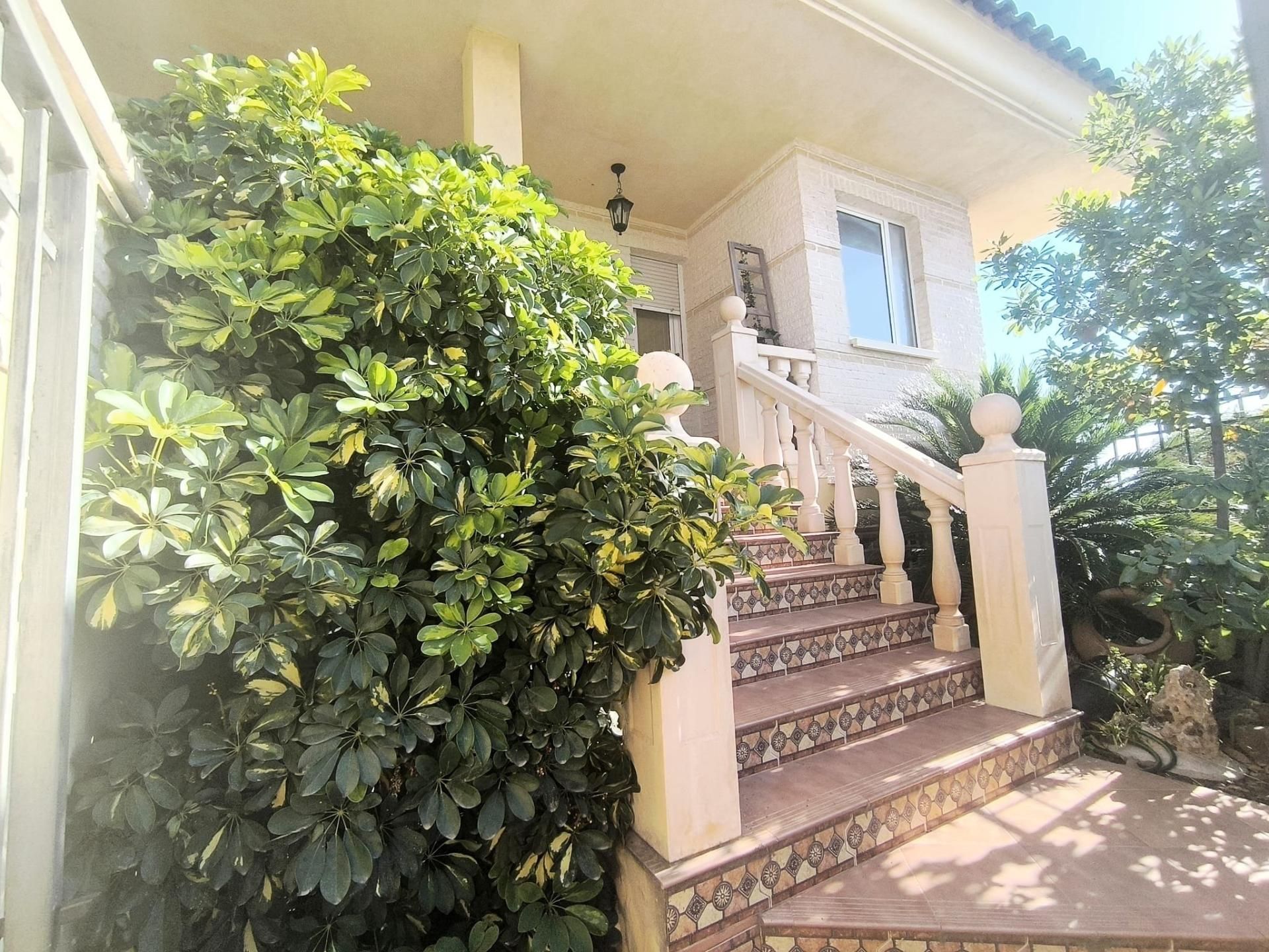 Exterior view of Single-family semi-detached for sale in Petrer