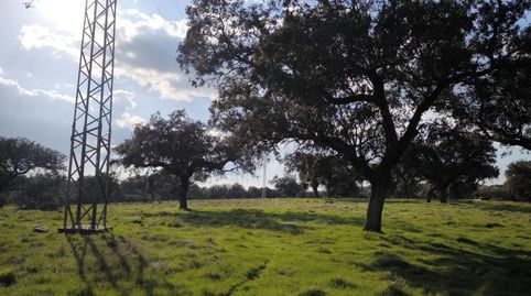 Foto 3 de Residencial en venta en Fuente Obejuna, Córdoba