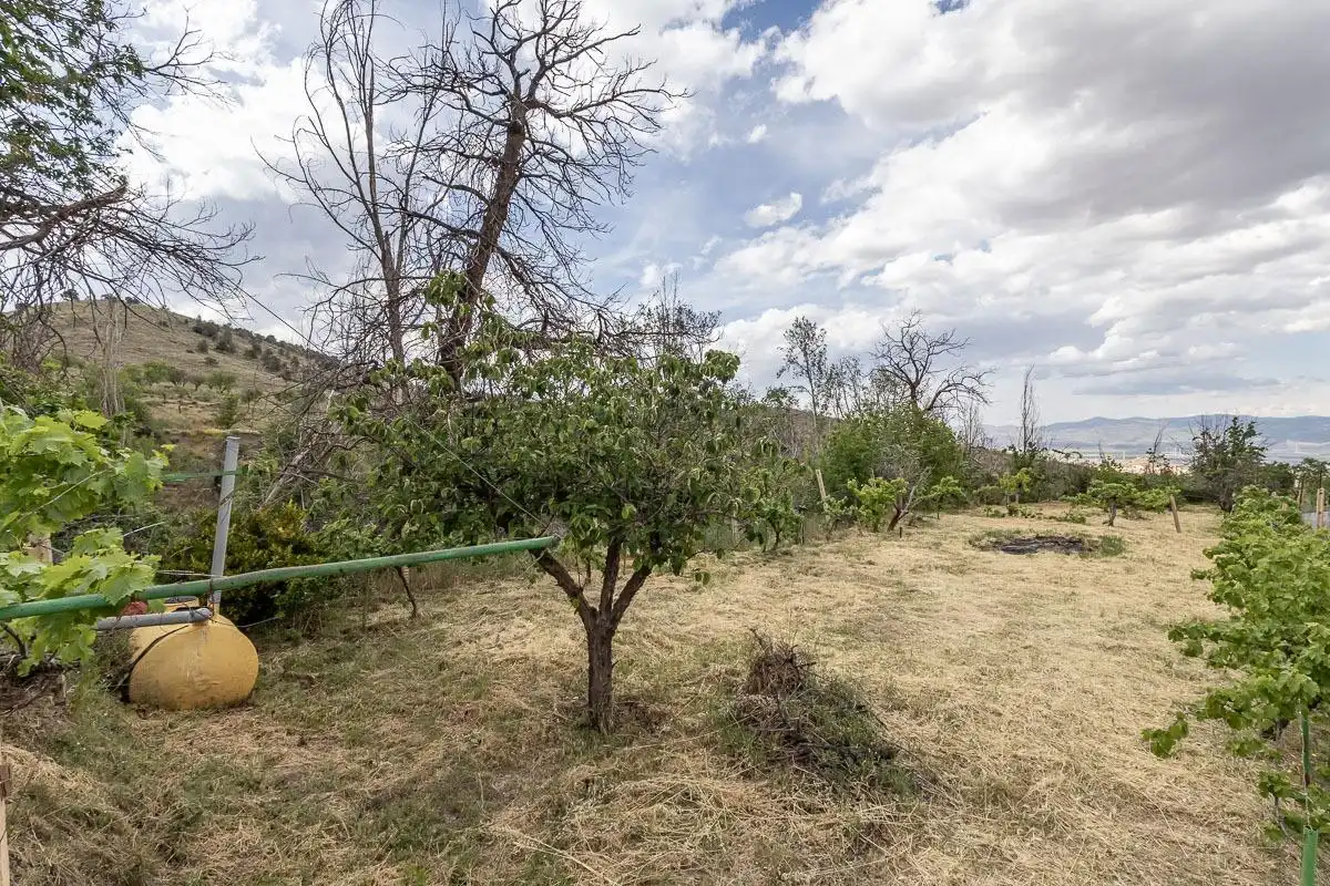 Finca rústica en venta en Dólar con Terraza