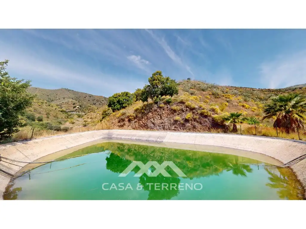 Piscina de Casa o xalet en venda en Moclinejo amb Piscina