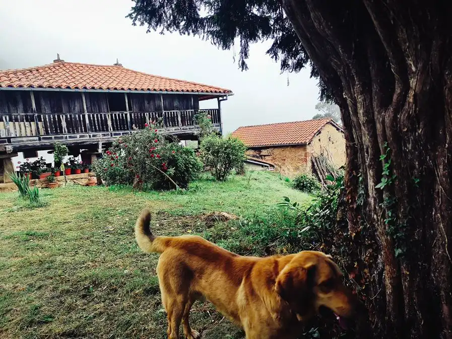 Casa en venta en Salas, imagen 21