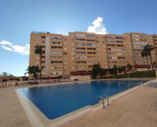 Swimming pool of Flat to rent in Alicante / Alacant  with Terrace and Community pool