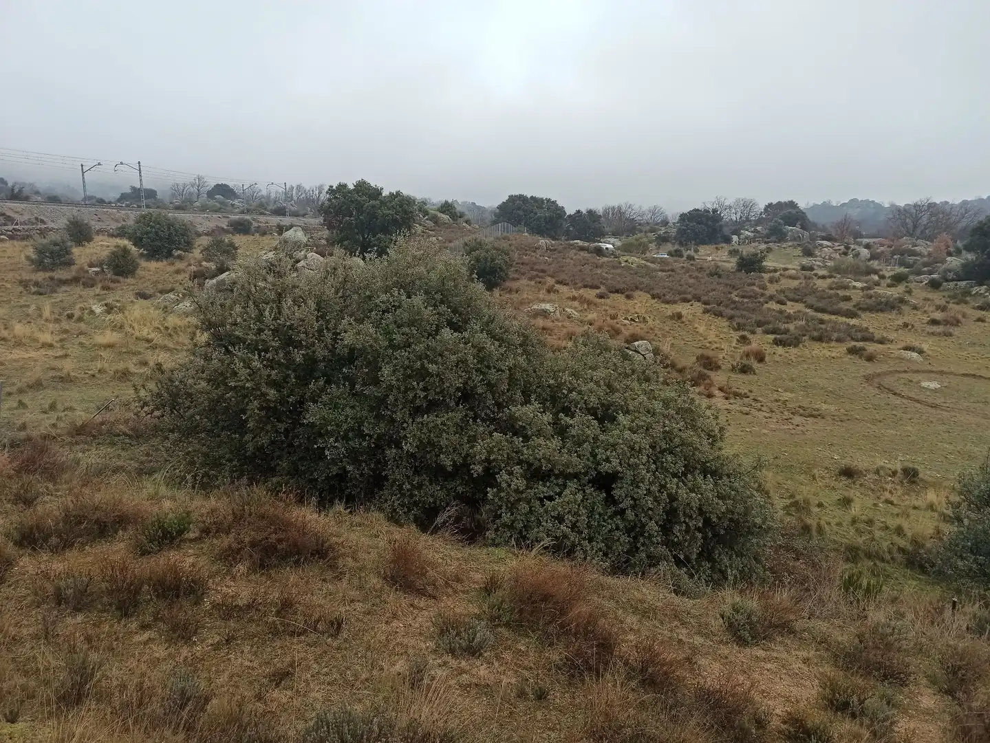 Terreno rustico in vendita a Zarzalejo, imagen 28