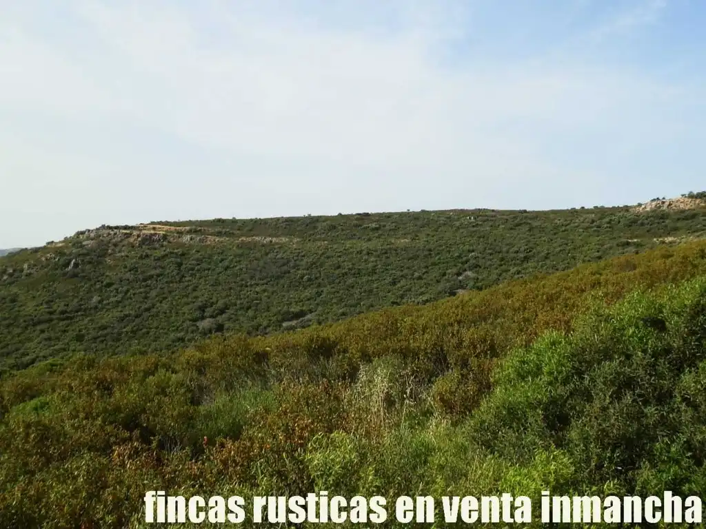 Terreny rústic en venda a Alcolea de Calatrava, imagen 10