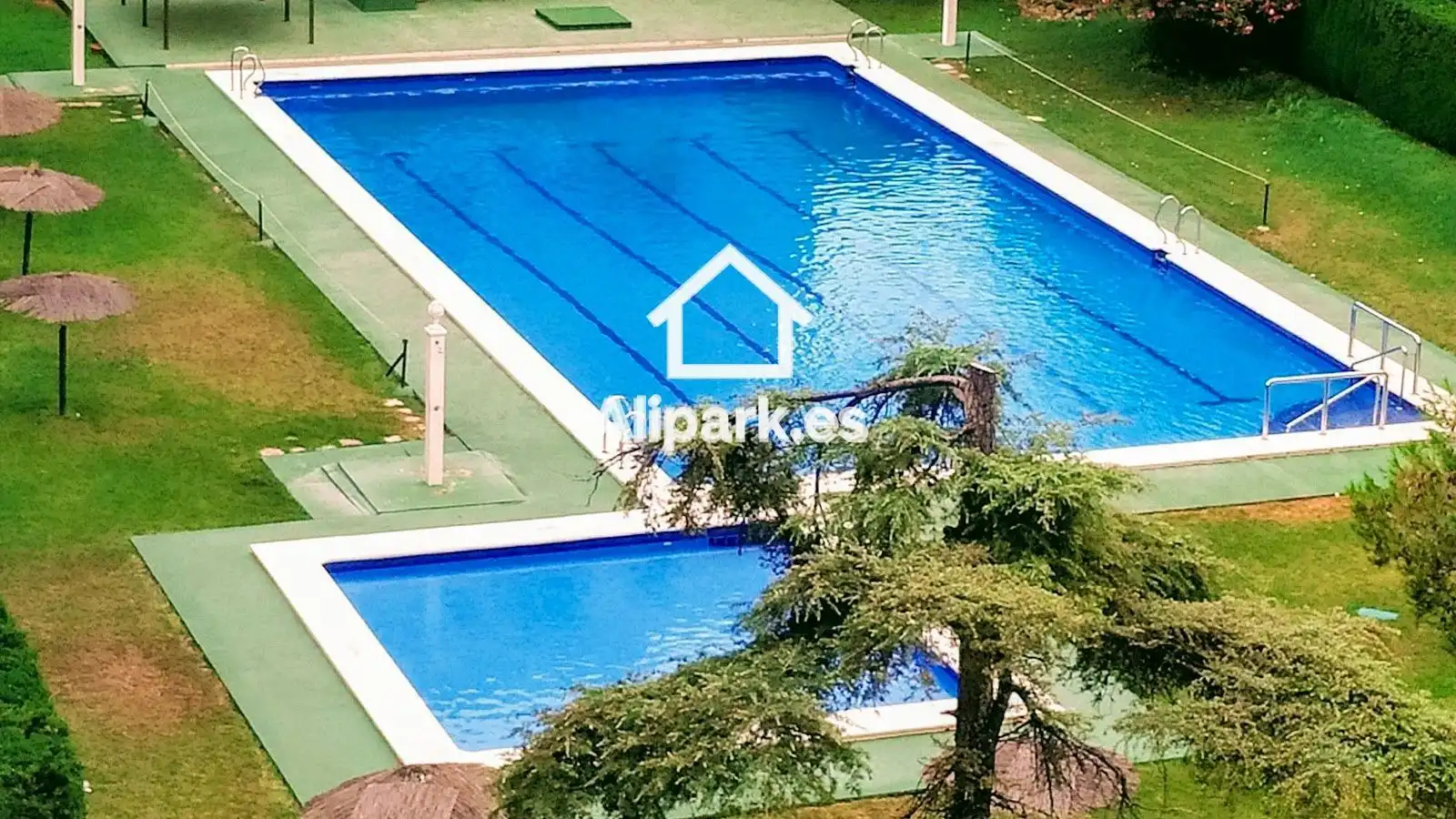 Piscina de Pis en venda en Alicante / Alacant amb Aire condicionat, Terrassa i Piscina