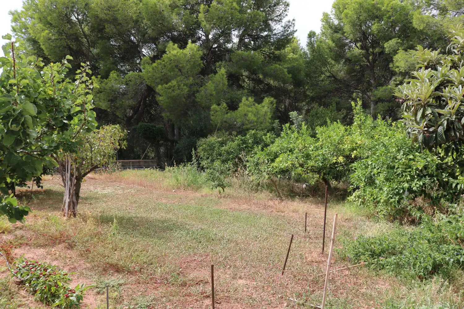 Houses for sale in Benicasim / Benicàssim  with Terrace and Storage room