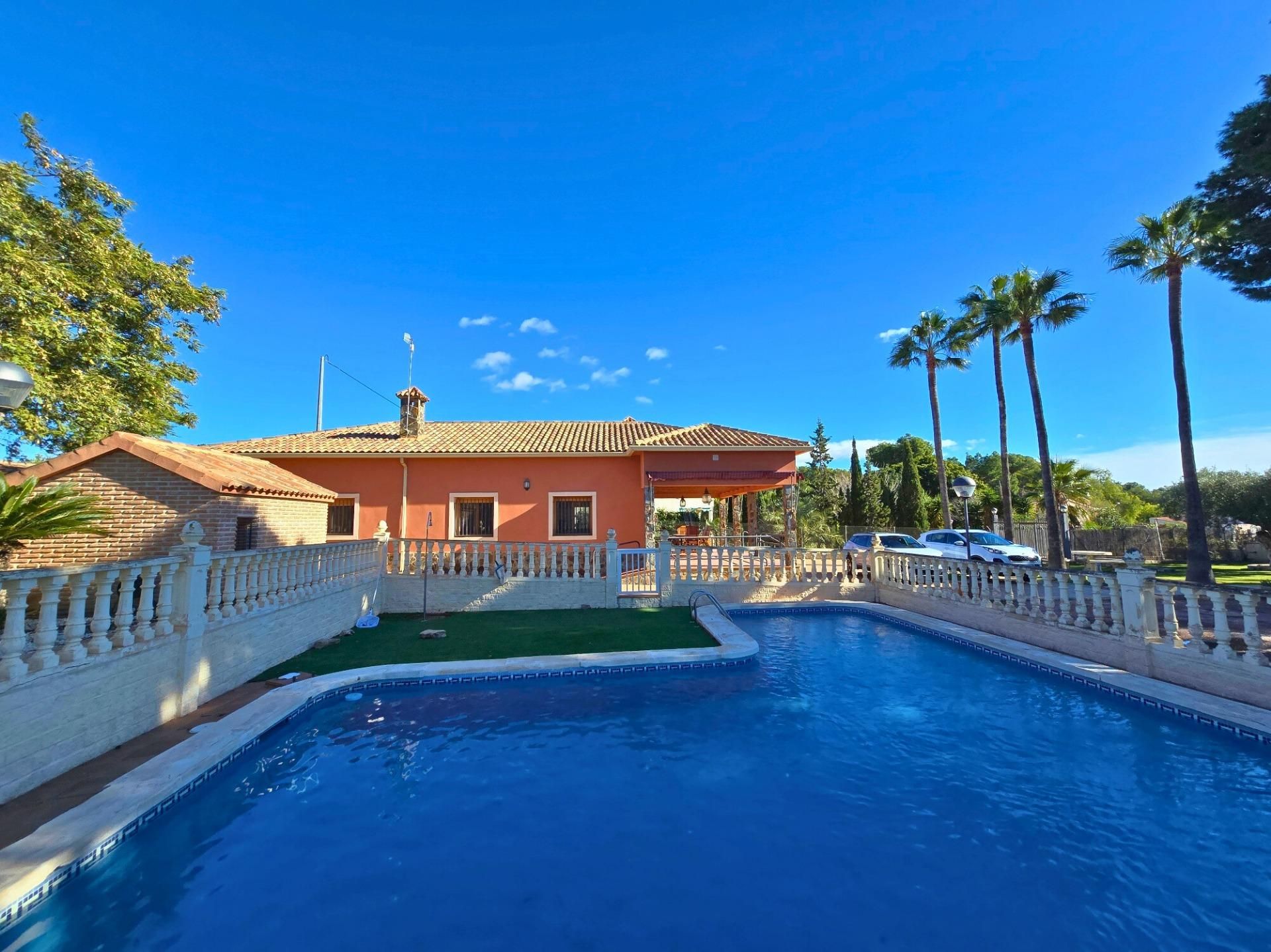 Swimming pool of House or chalet to rent in Elche / Elx  with Private garden, Swimming Pool and Furnished