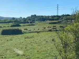Gewerbefläche zur Miete in Gatzarriñe Kalea, imagen 14