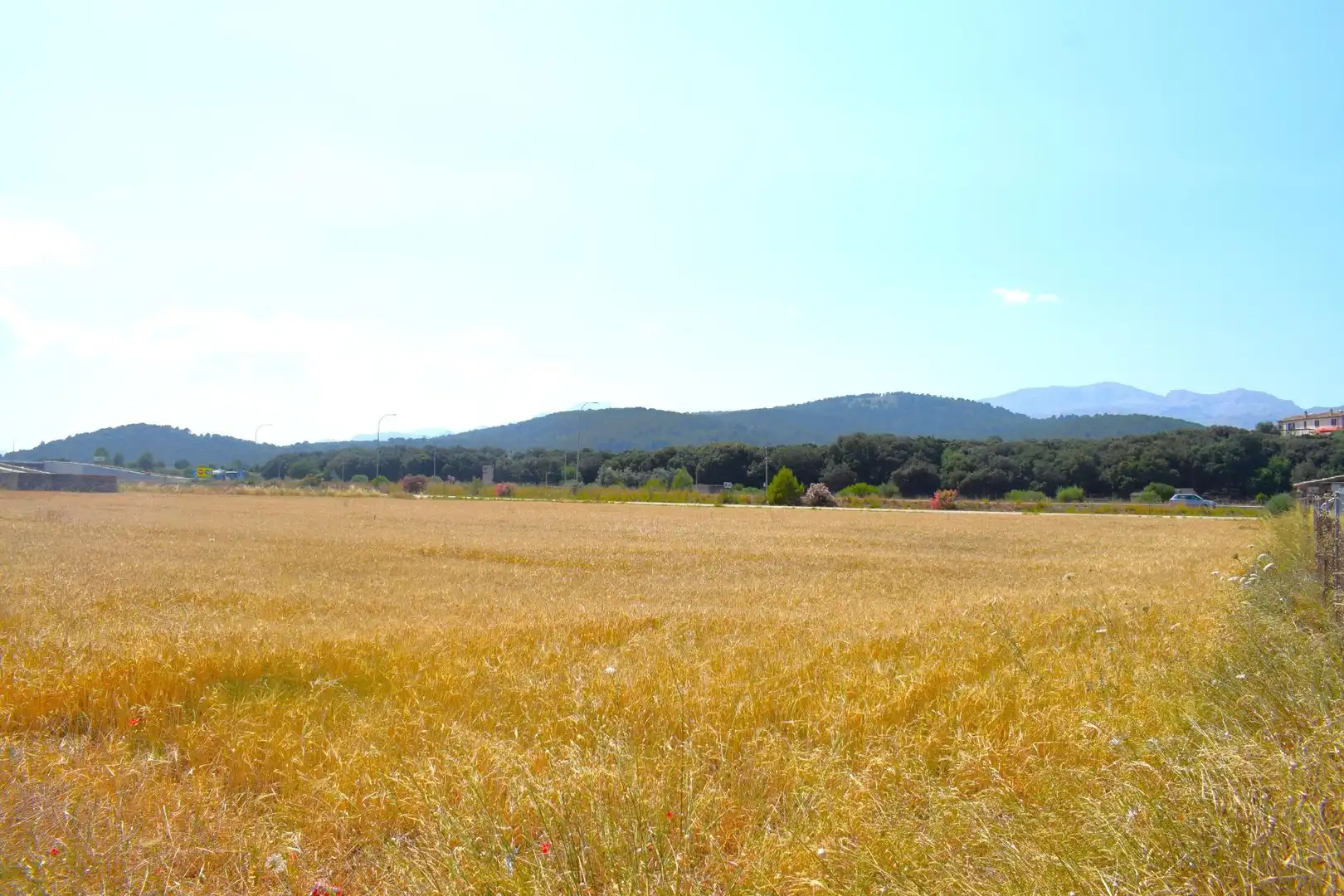 Rural land for sale in Sa Pobla, imagen 7