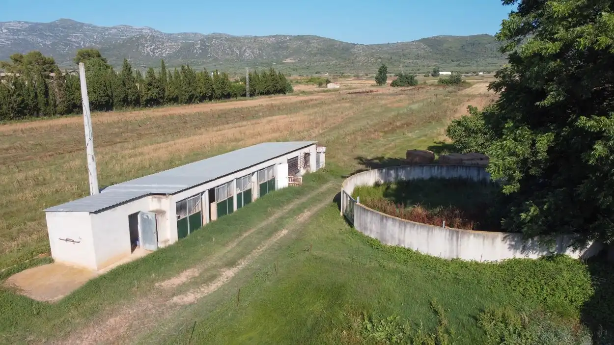 Rural land for sale in Ulldecona, imagen 11