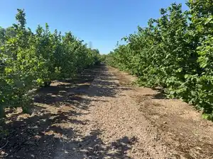 Terreno rustico in vendita a Avinguda de Reus 10, imagen 9