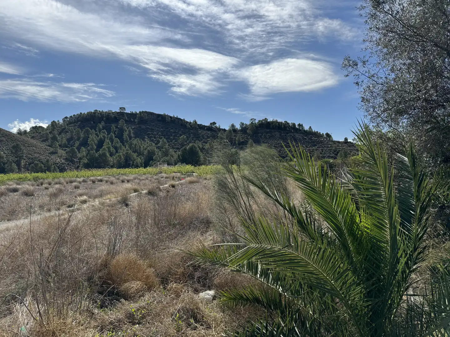 Casa o chalet en venta en Cehegín con Aire acondicionado, Jardín privado y Terraza