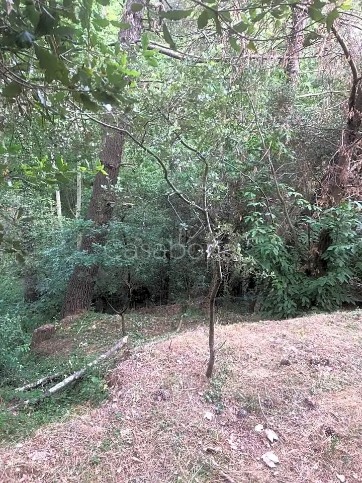 Finca rústica en venta en Arbúcies con Jardín privado, Terraza y Amueblado