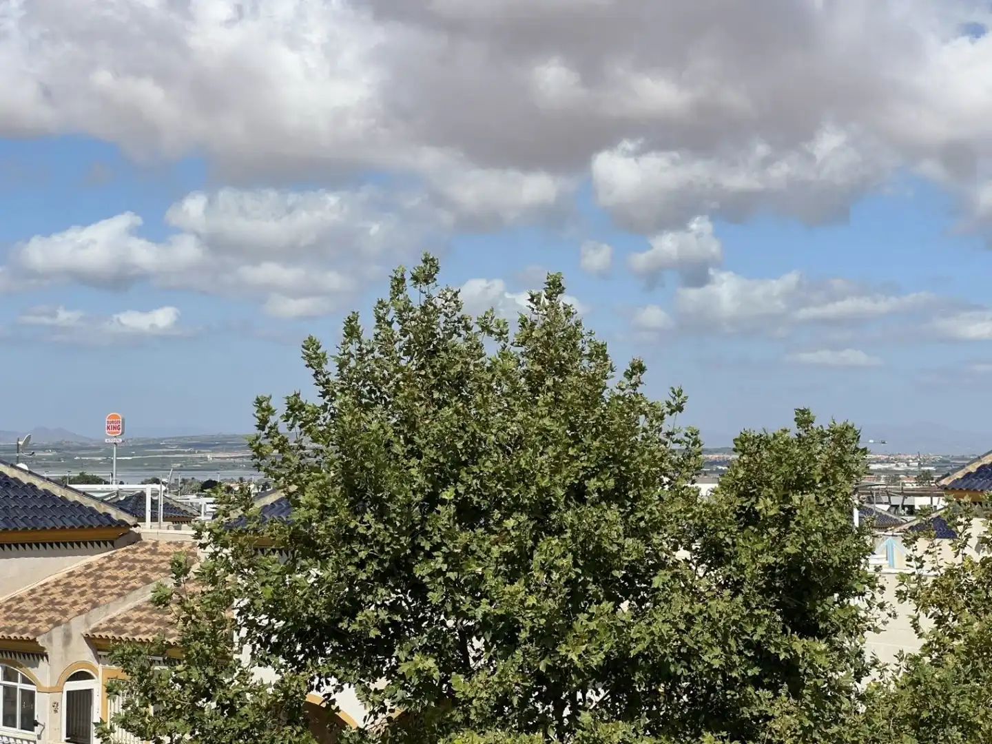 Business premises for sale in Nueva Torrevieja - Aguas Nuevas, imagen 26
