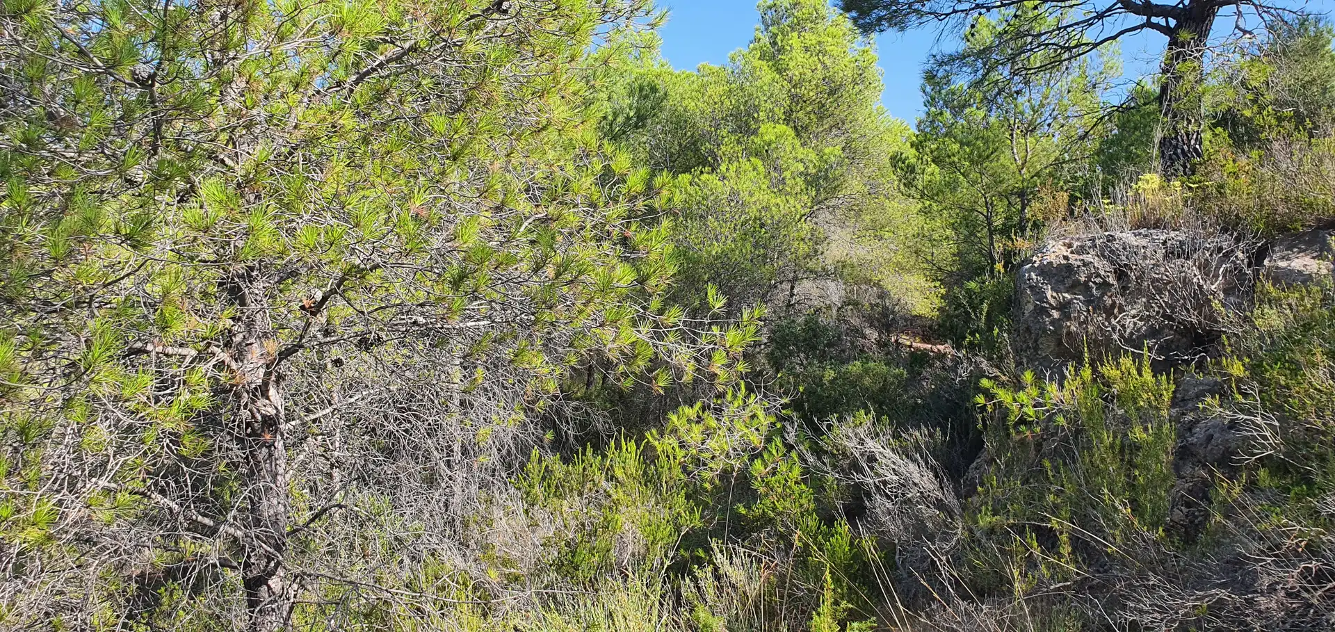 Casa o chalet en venta en Benifallet
