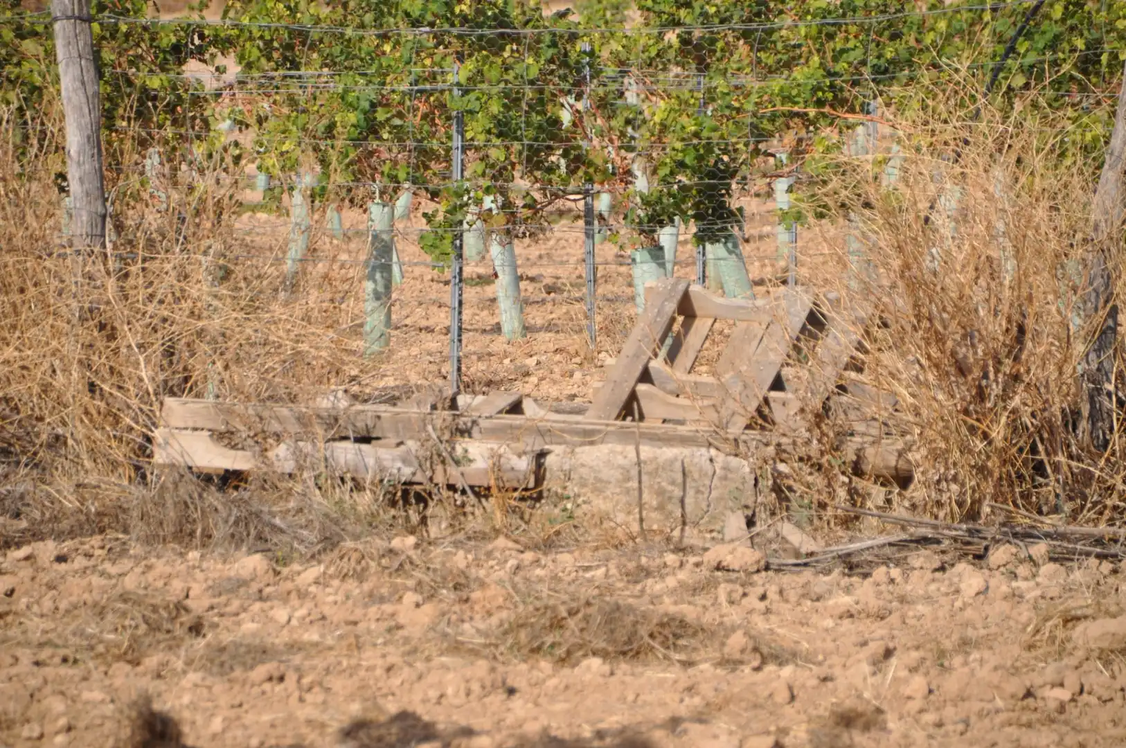 Garden of Residential for sale in Villanueva de Alcardete