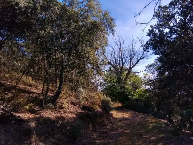 Country homes for sale in Pórtugos