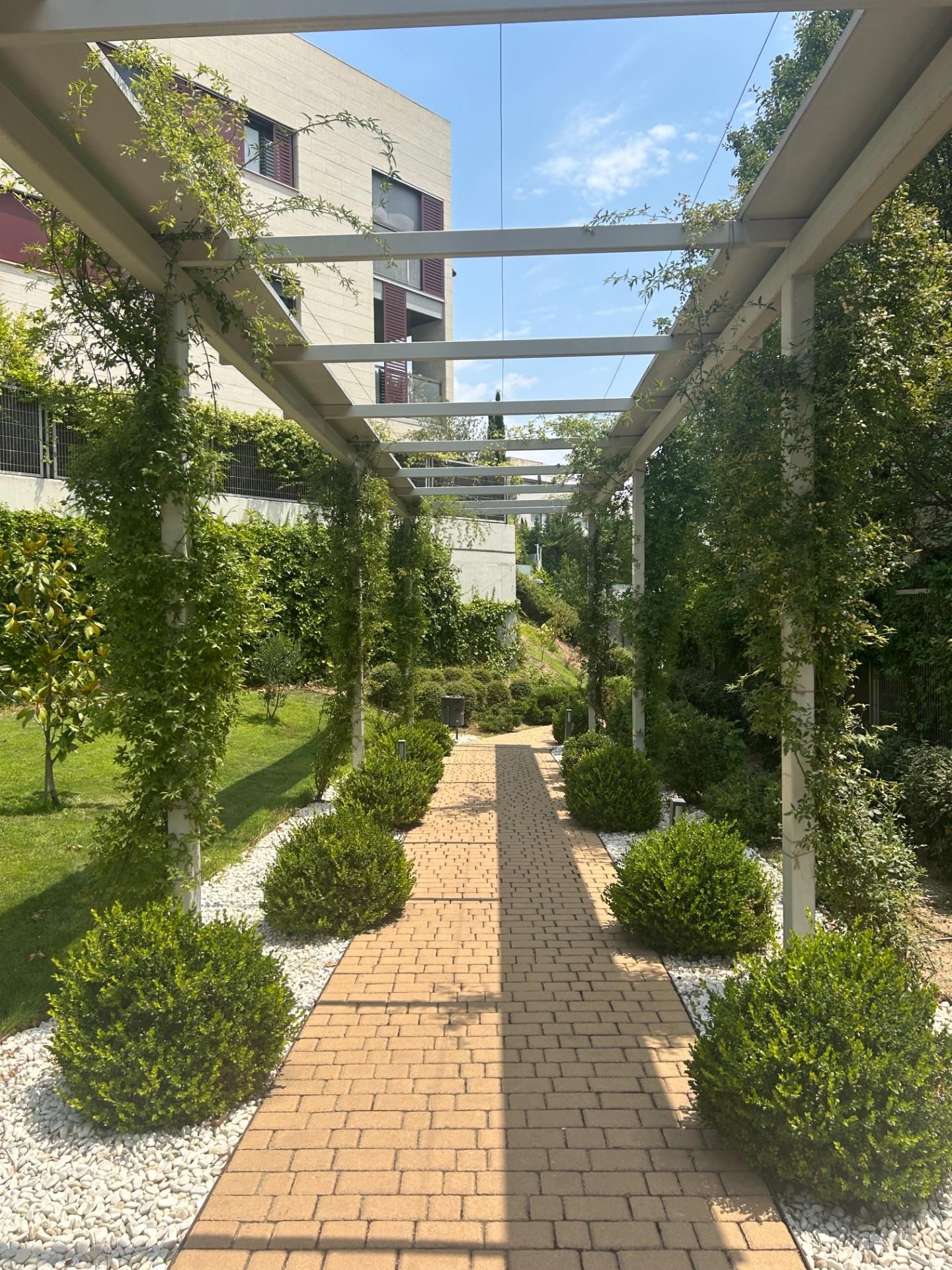 Jardí de Planta baixa de lloguer en  Madrid Capital amb Aire condicionat, Calefacció i Terrassa