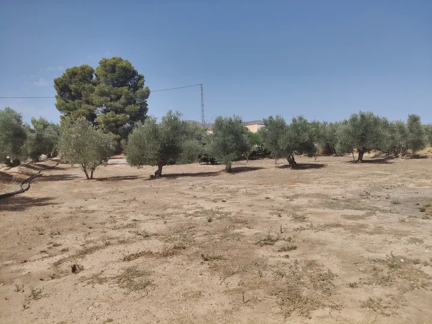 Houses for sale in Baza