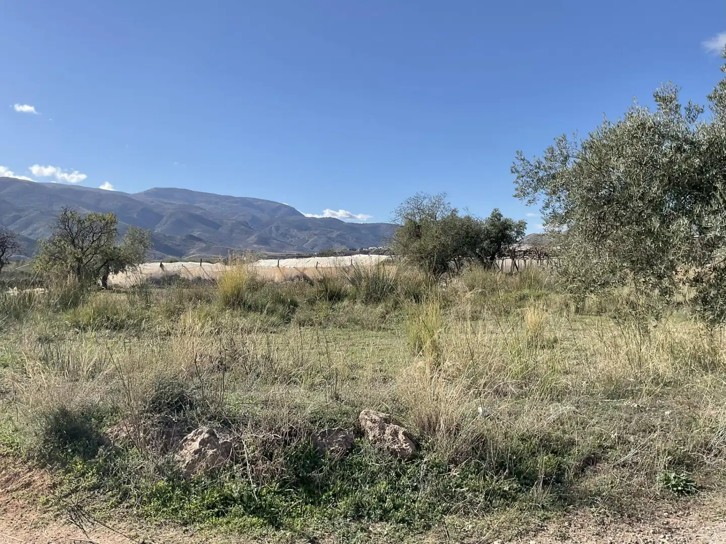 Land for sale in Padules