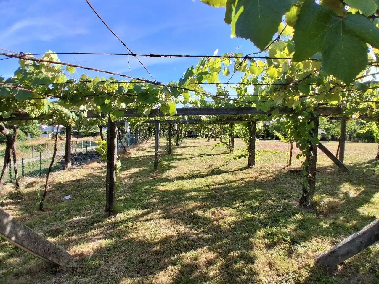 Jardí de Finca rústica en venda en Cuntis amb Calefacció, Jardí privat i Traster