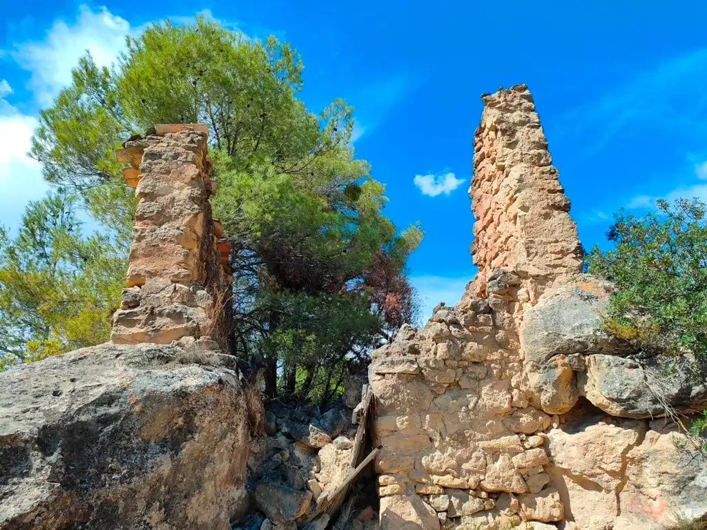 Rural land for sale in Horta de Sant Joan, imagen 7
