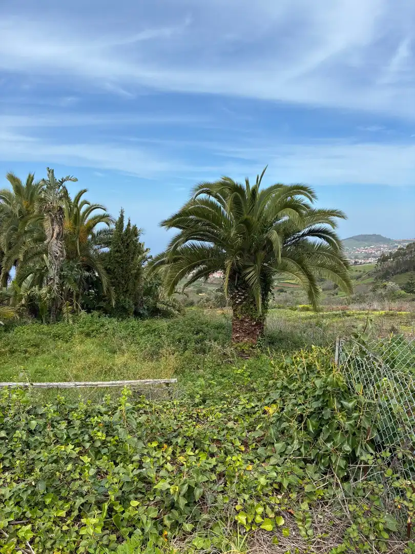 Terreny rústic en venda a El Sauzal, imagen 3