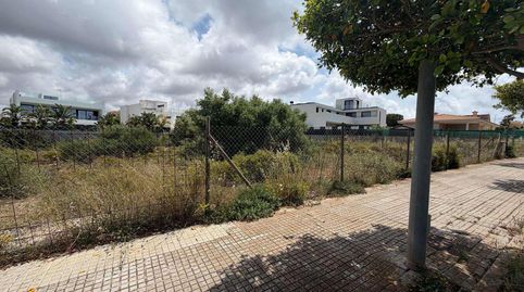 Foto 5 de Residencial en venta en Carrer del Voltor, 1, Maioris-Puig de Ros, Llucmajor