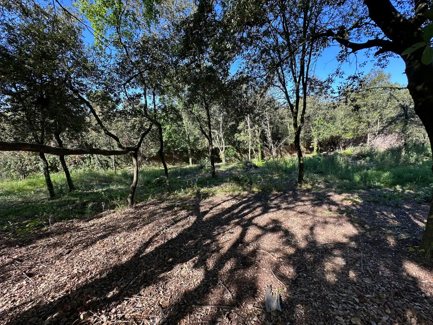 Casa o xalet en venda en Matadepera amb Jardí privat, Terrassa i Moblat
