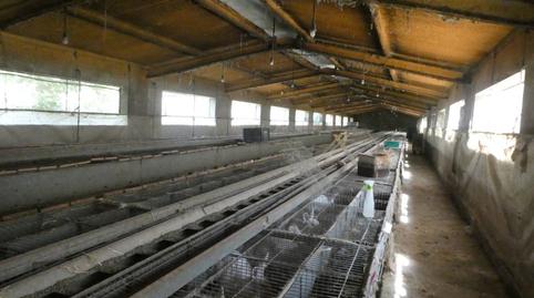 Photo 5 of Industrial buildings to rent in Cabrera, Segorbe, Castellón