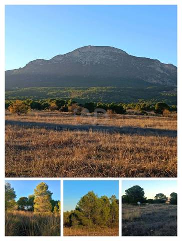 Terreno en Venta en Fontanares