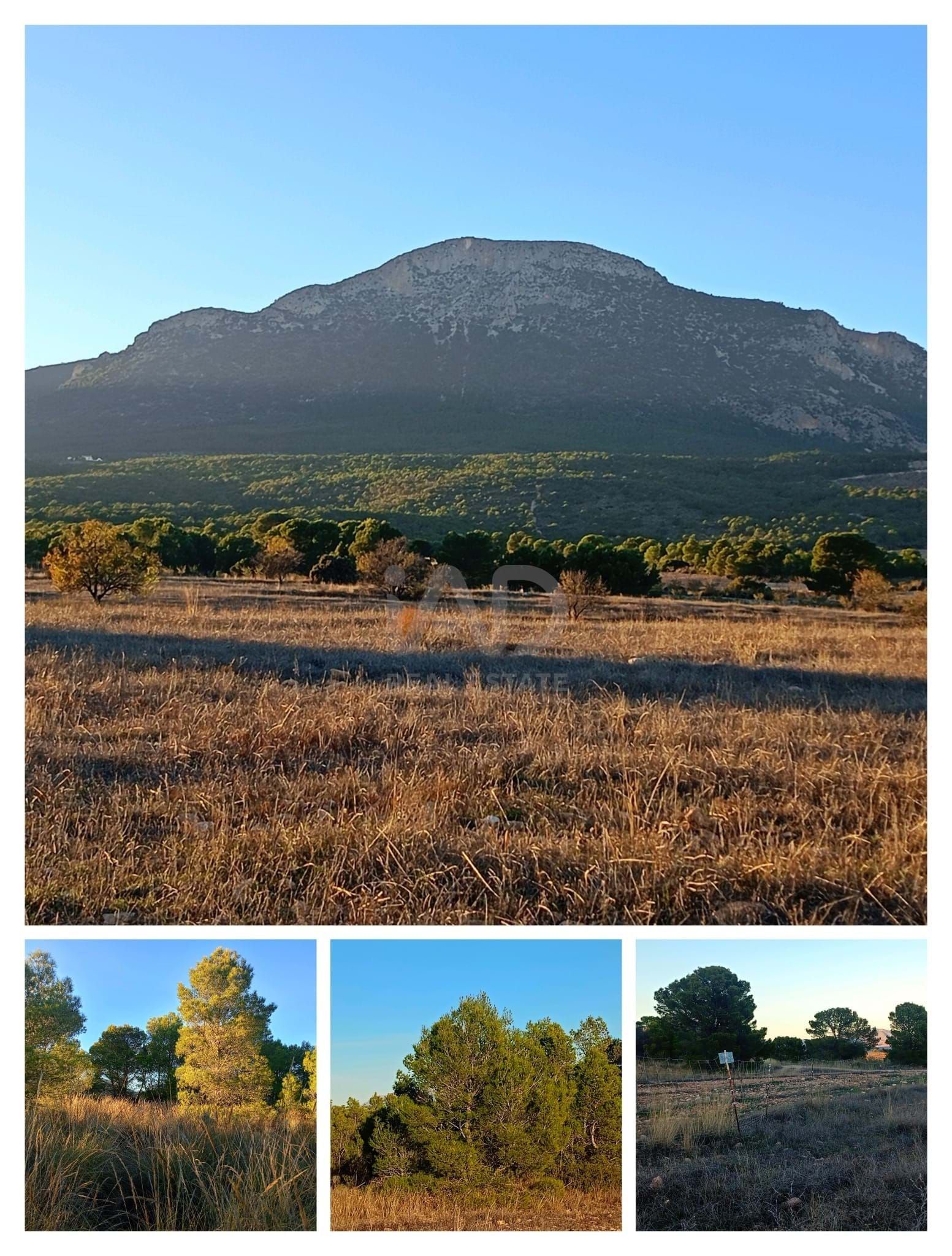 Land for sale in Lorca