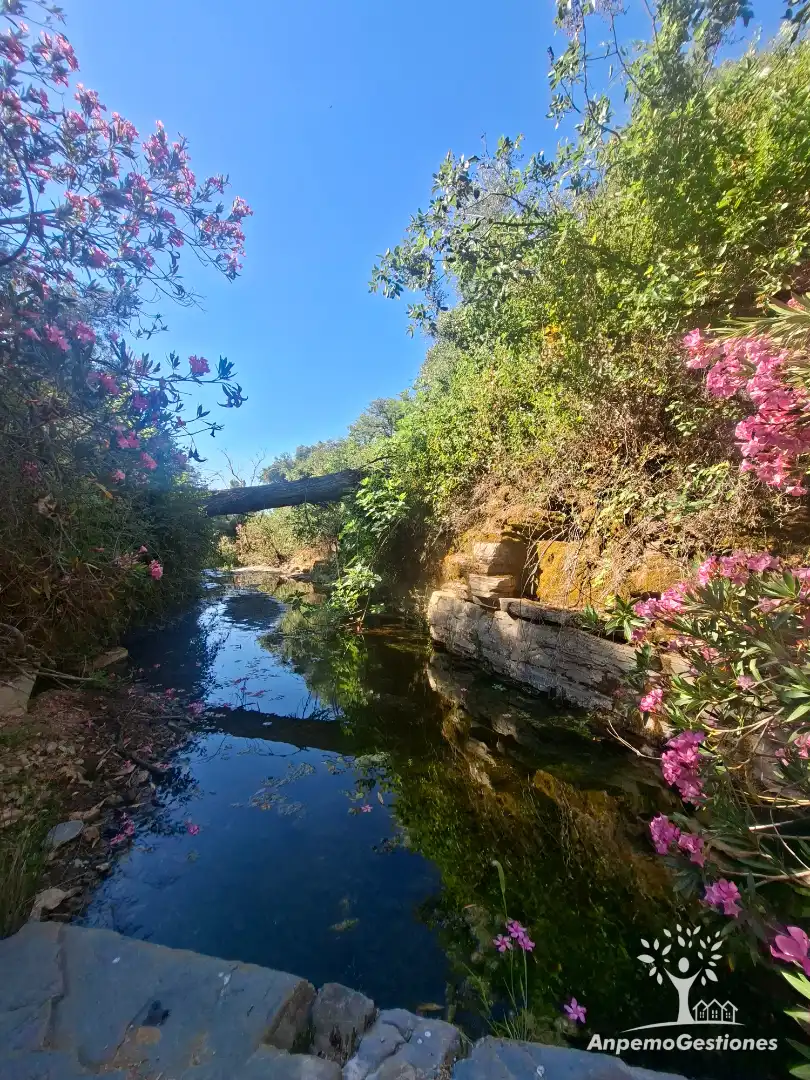 Swimming pool of Land for sale in Las Navas de la Concepción