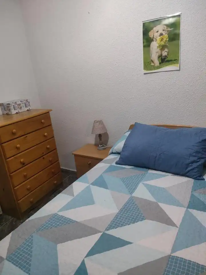 Habitación en Murillo, Caballería Española