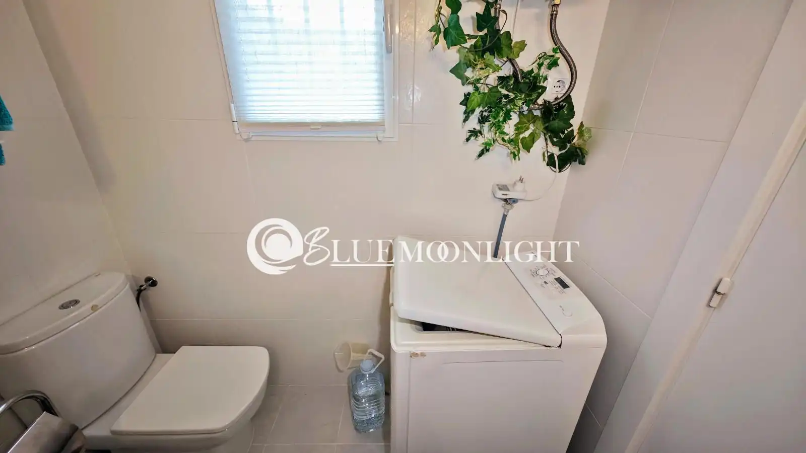 Attic for sale in REALENC, Costa Sur