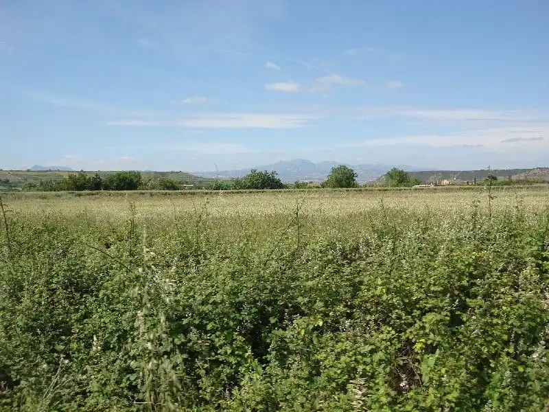 Terreny rústic en venda a Villamediana de Iregua, imagen 3
