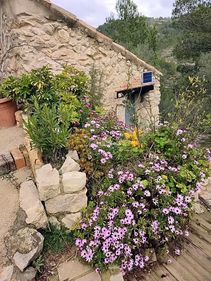 Terreno rustico in vendita a Pont Trencat, imagen 22