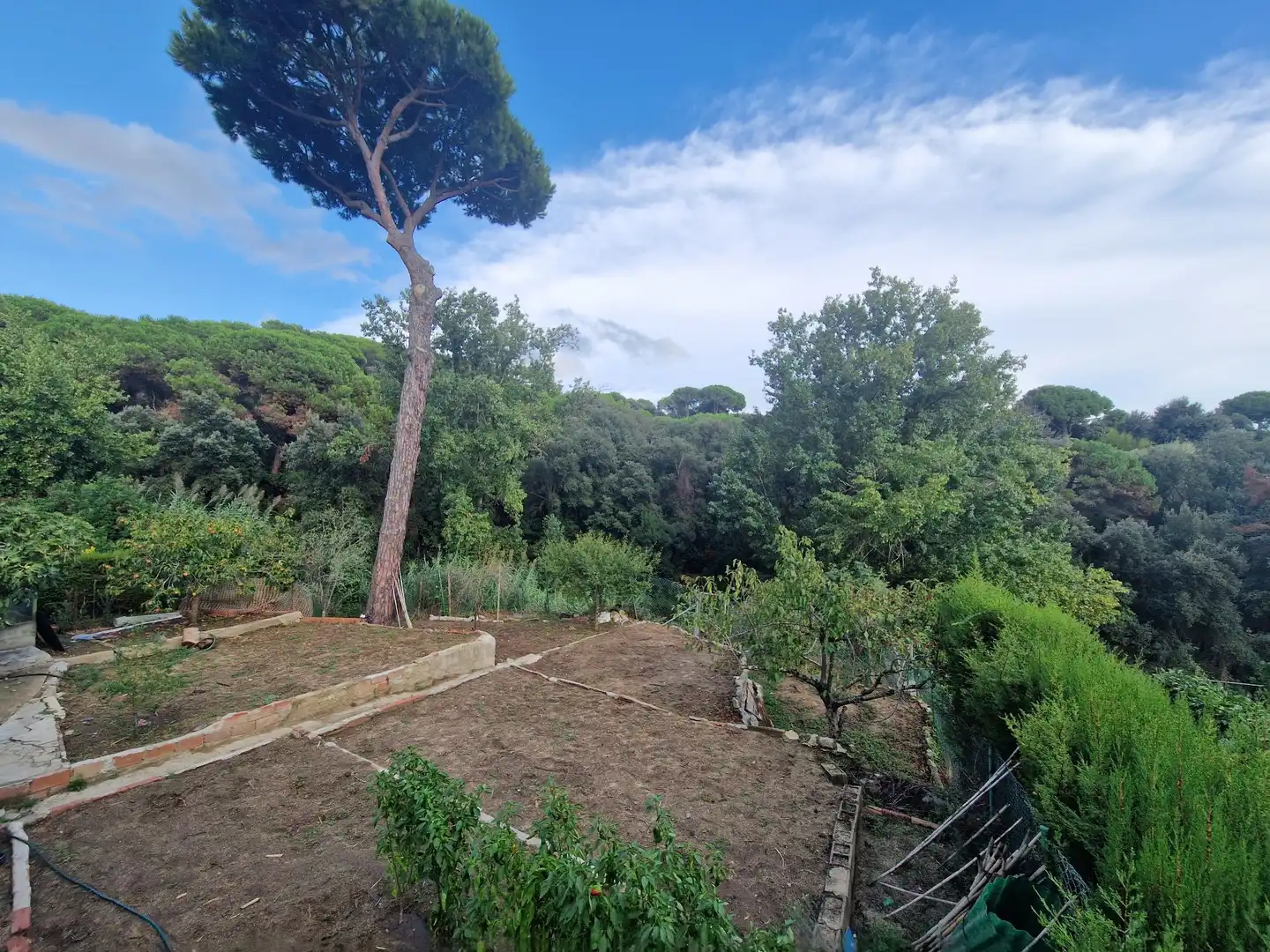 House for sale in Can Massuet del Far, imagen 28