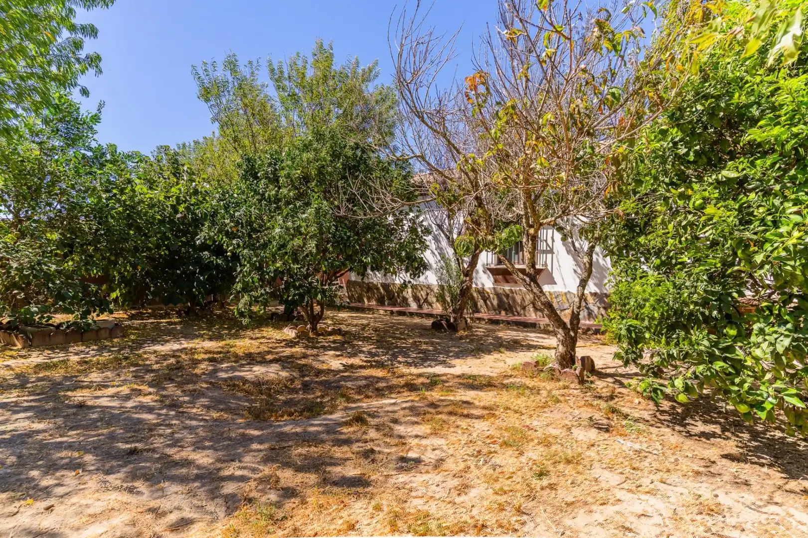 Casa rustica con piscina in vendita a 42 Carril Gaviota #19, imagen 6