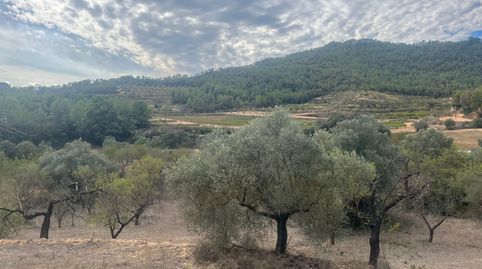Finca en Horta de Sant Joan