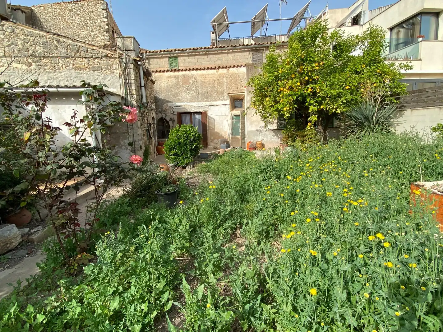 Casa amb jardí en venda a PERE ESTRUCH 24, imagen 15