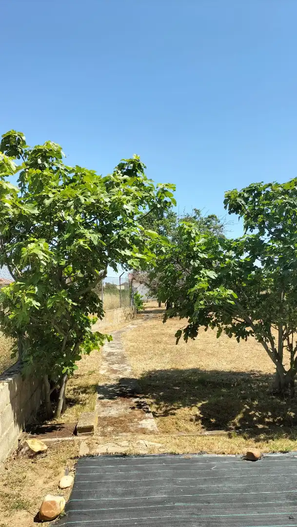 Casa o xalet en venda en Melgar de Tera amb Moblat