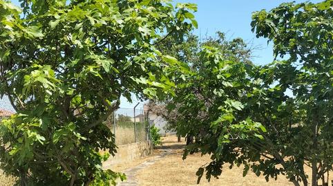 Photo 3 of House or chalet for sale in Calle la Carretera, Melgar de Tera, Zamora