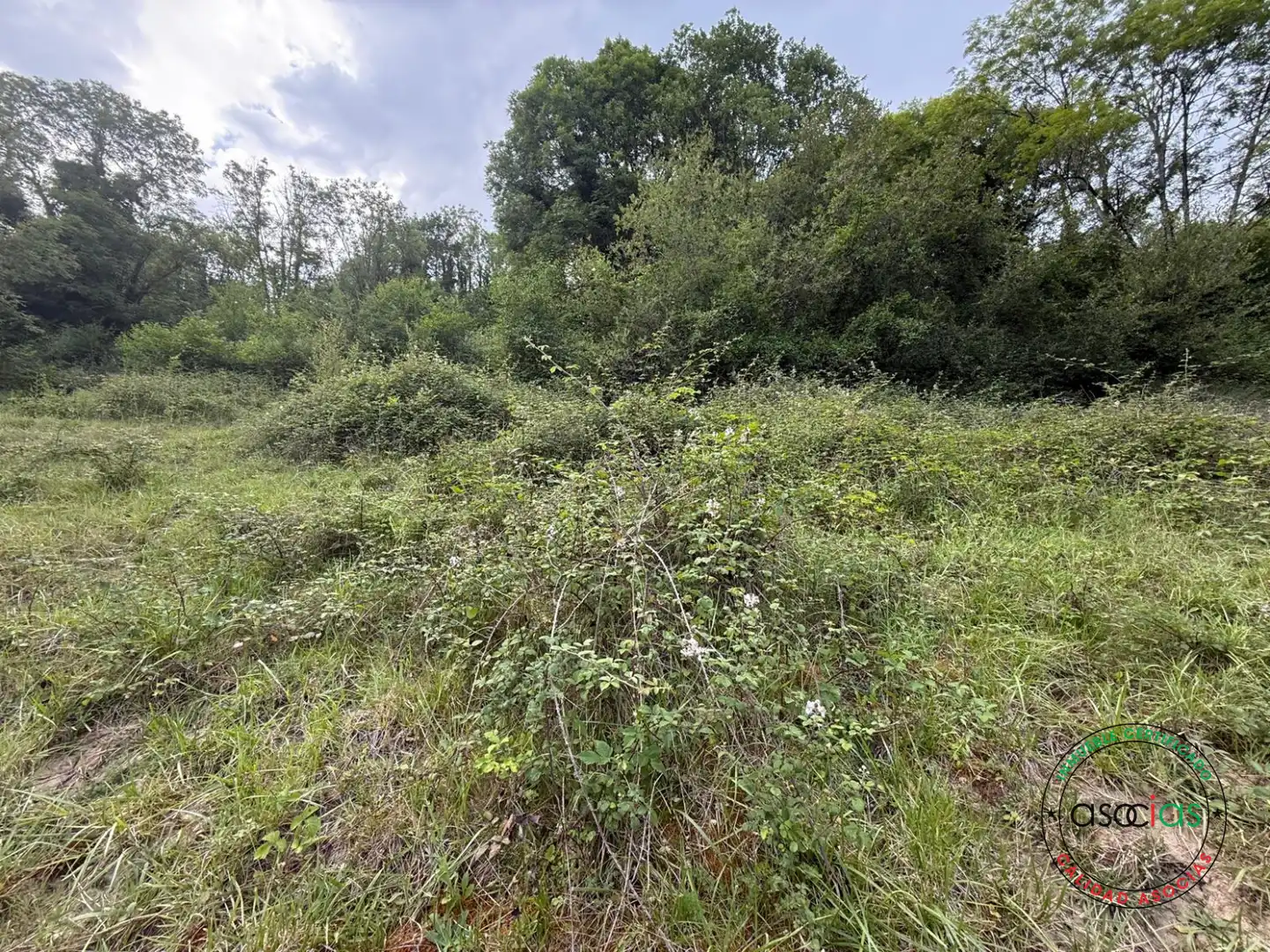 Land for sale in Quirós