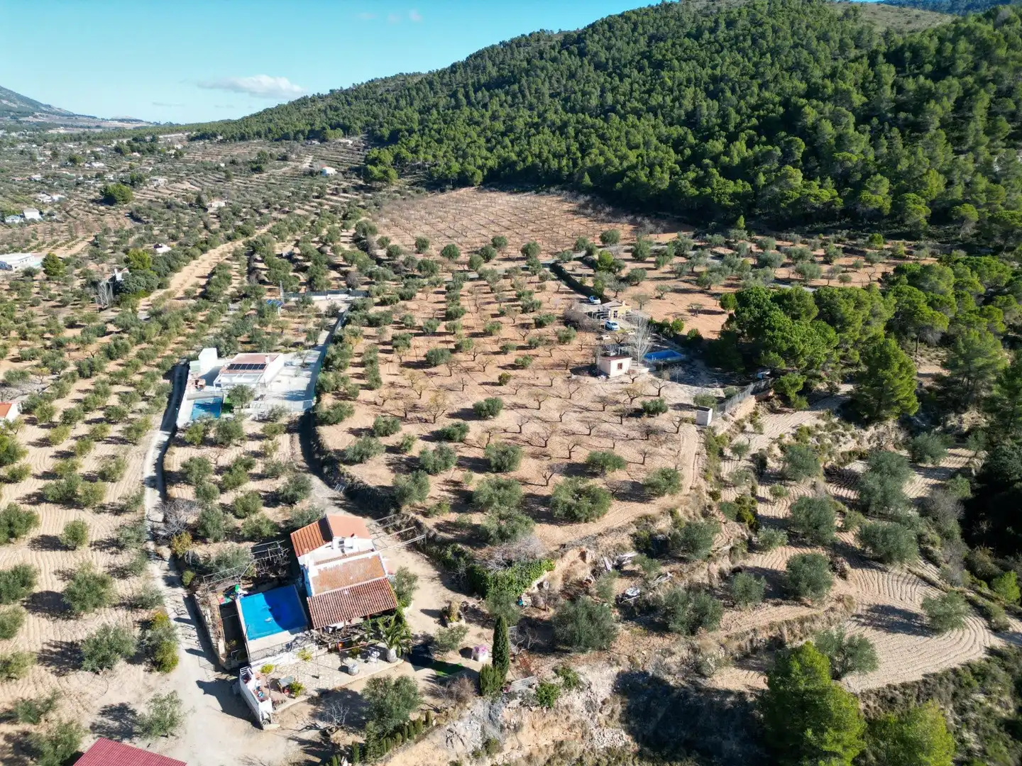 Terrenys i solars en venda a Ibi, imagen 5