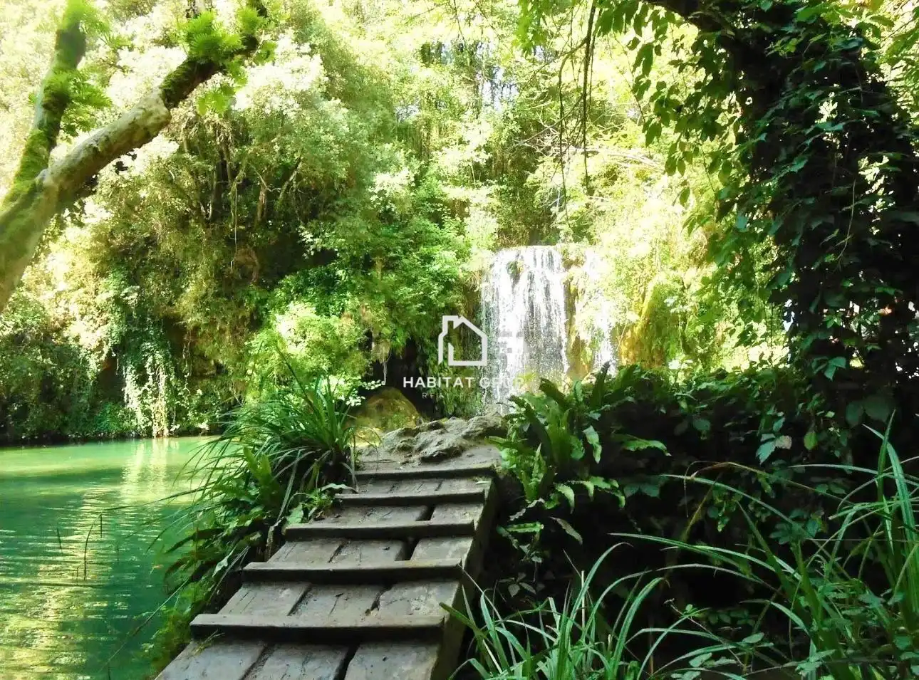 Jardí de Casa o xalet en venda en Santa Pau amb Calefacció, Jardí privat i Terrassa