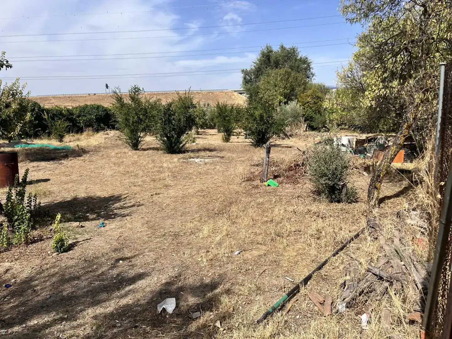 Land for sale in Pinto