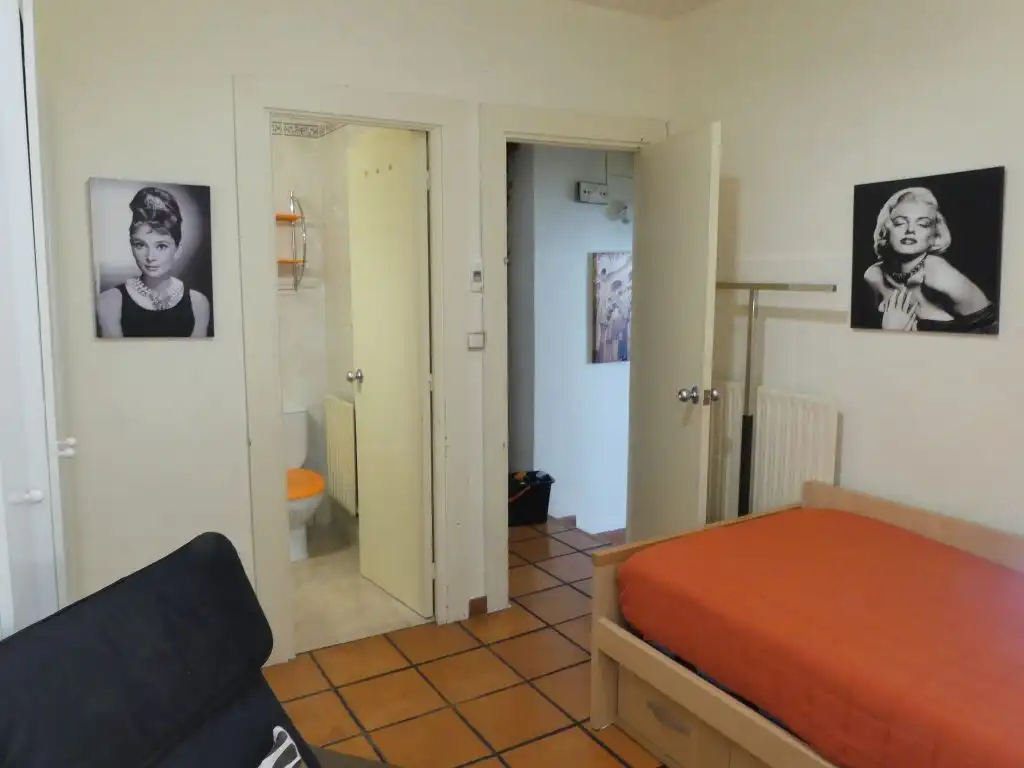 Estudi de lloguer a Calle Capuchinas, 8, Centro - Sagrario