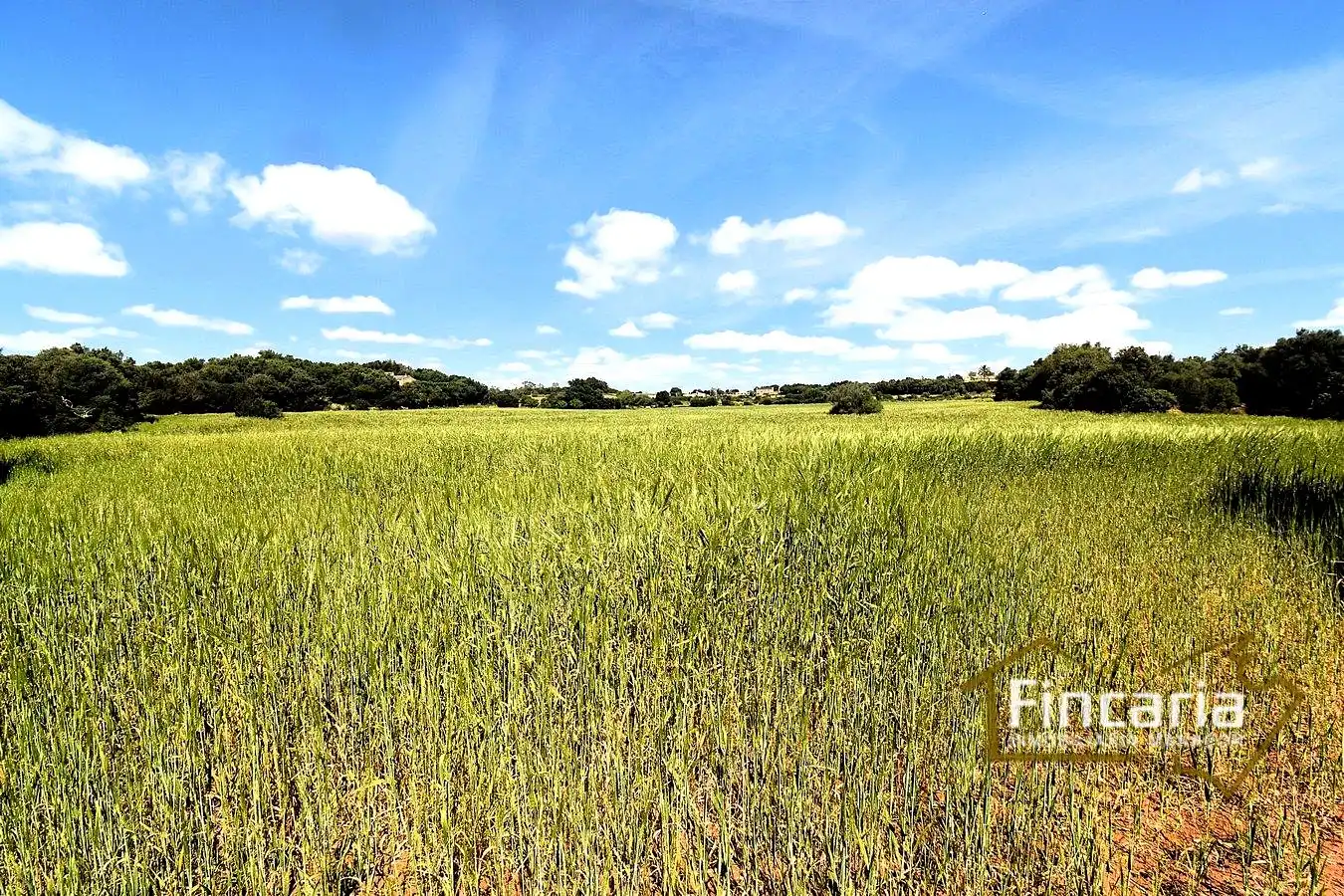 Lands and plots for sale in Ma-5120, imagen 9