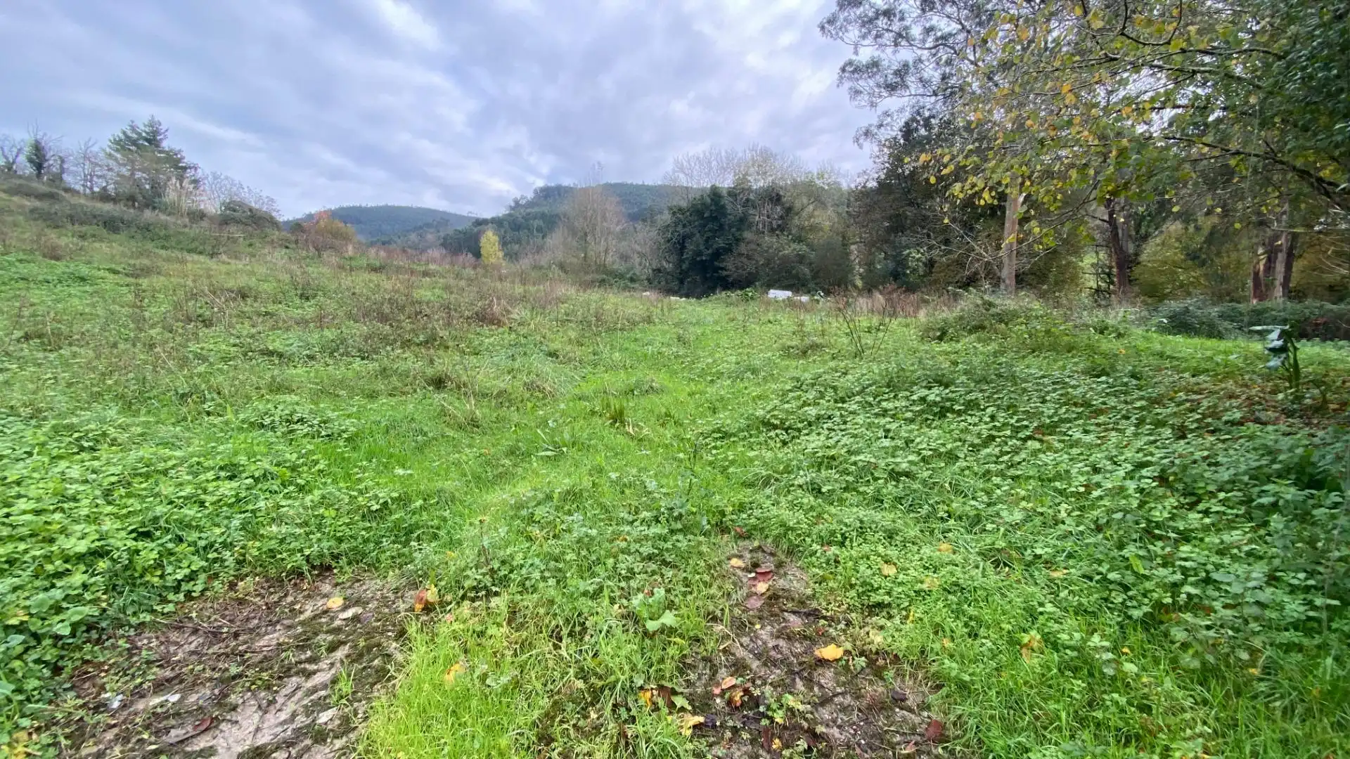 Residential for sale in Limpias